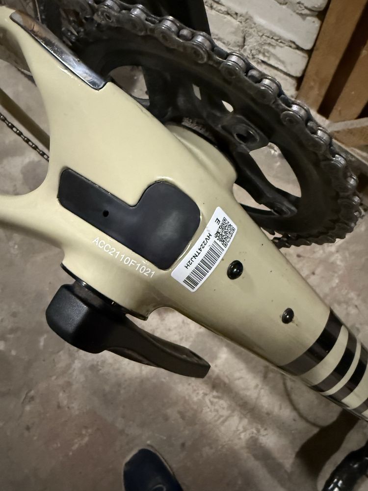 Gravel Accent Freak 2022