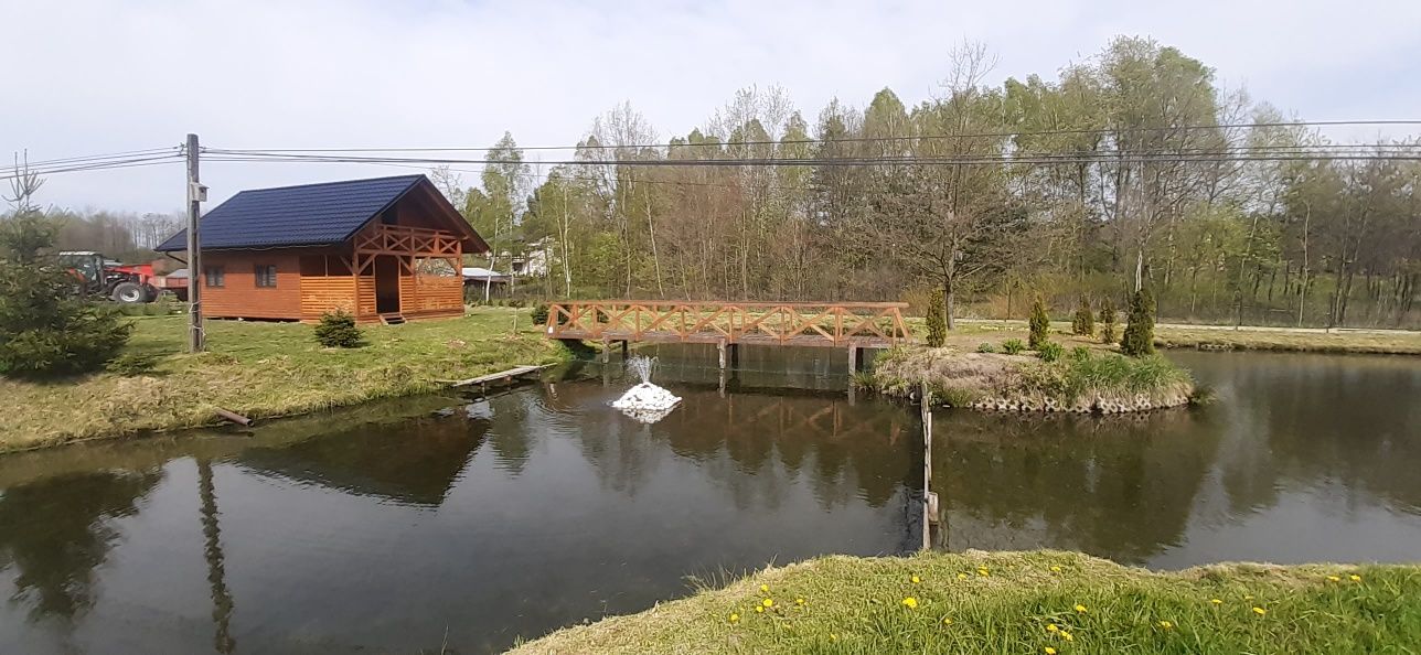 Domek letniskowy, agroturystyka,balia ogrodowa,łowienie ryb,