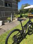 Specialized stumpjumper alloy 2024