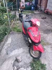 Sky Moto kadet 50