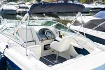 Sea Ray 230 Signature