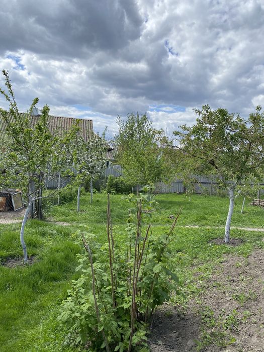 Будинок для проживання