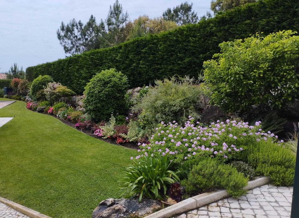 Manutenção de JARDIM