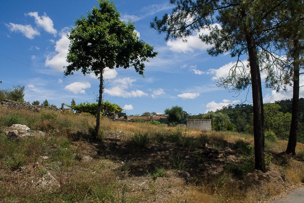 Terreno em Poiares,  
Ponte de Lima -