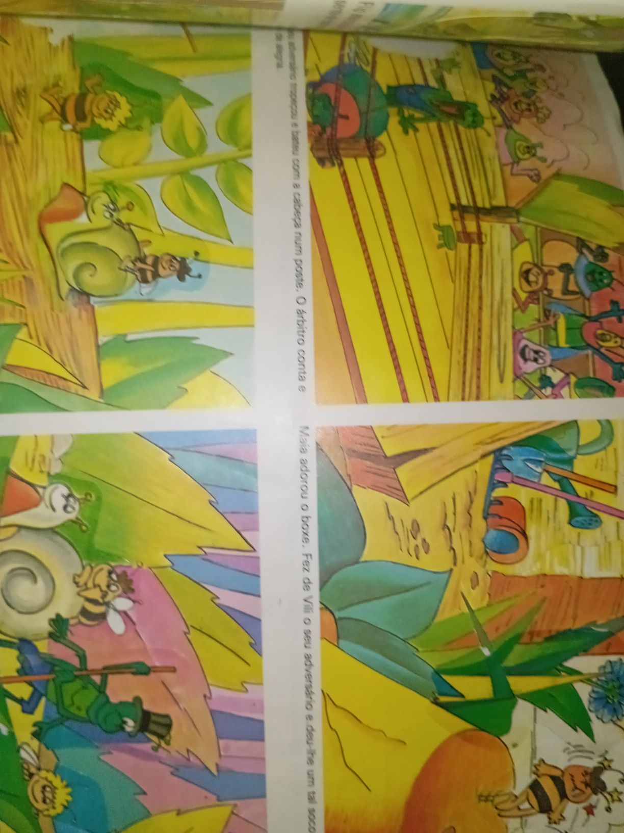 Caderneta abelha maia não completa