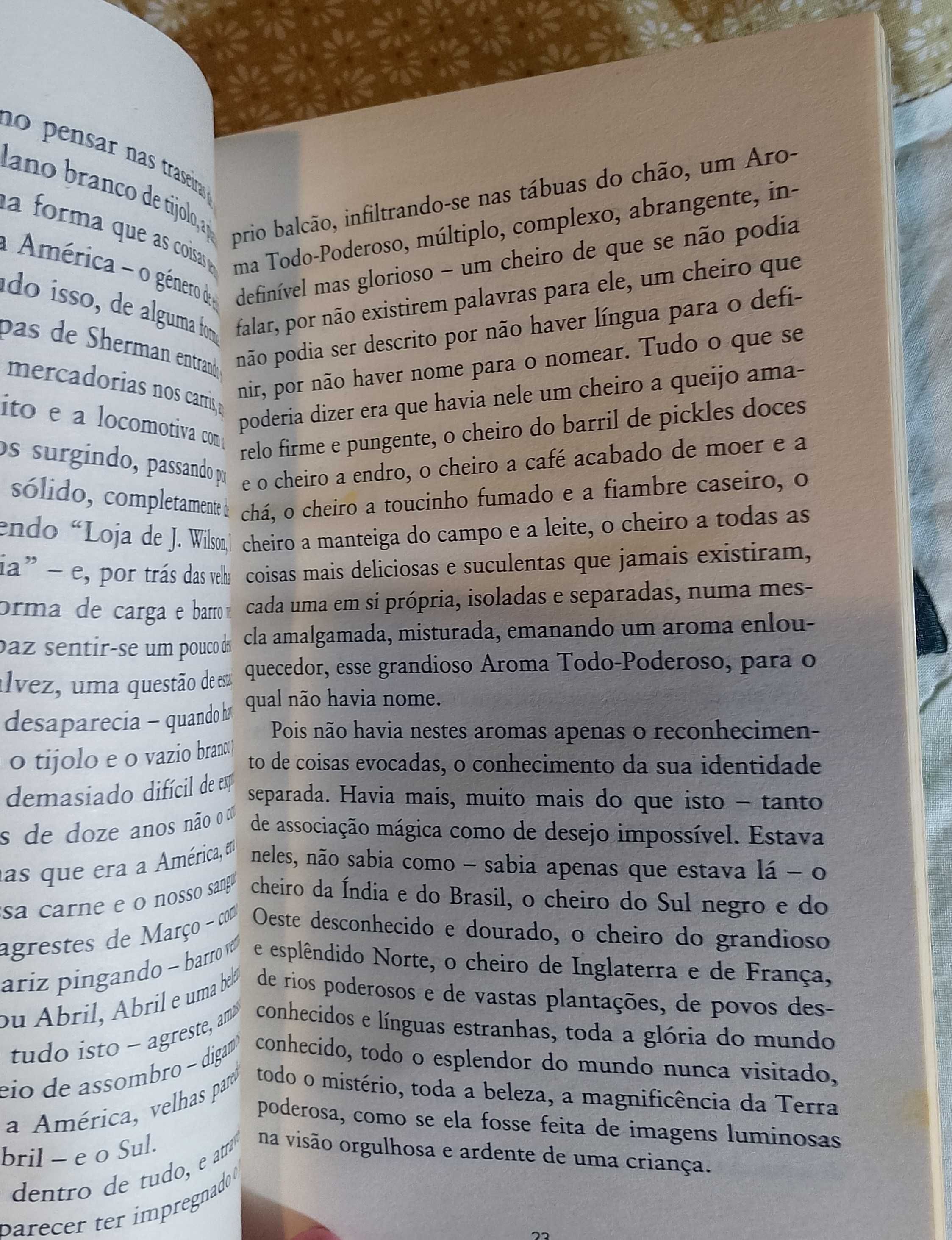 O rapaz perdido, Thomas Wolfe