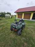 Yamaha bruin 250