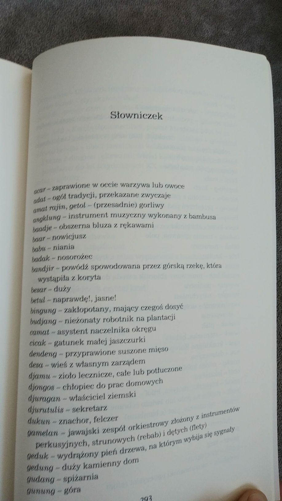 Hella S. Haasse - Panowie herbaty