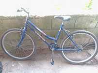 Bicicleta bicicleta