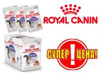 ROYAL CANIN Sterilised Влажный корм для кошек в Упаковке по 12шт