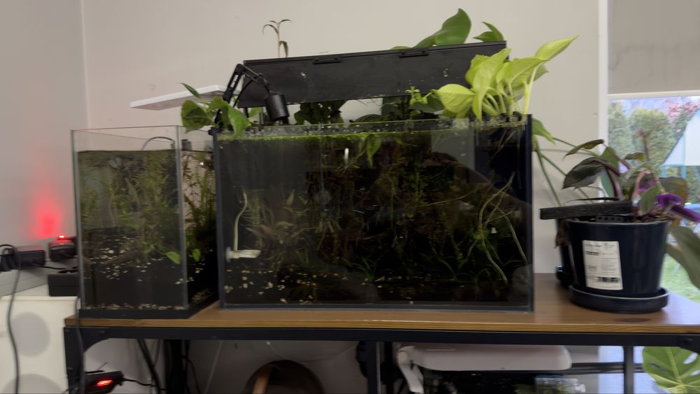 akwarium w pełni wyposażone