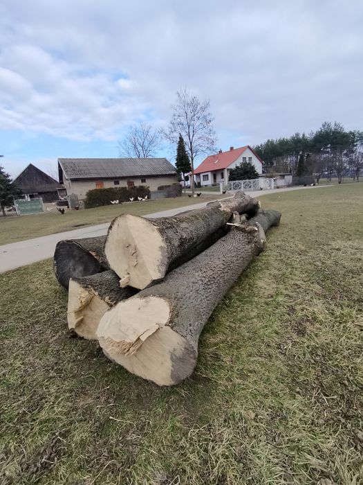 Kłody, jesion, deski
