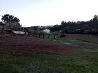 Limpeza lavoura de terrenos agrícolas/florestais e podas