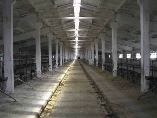 Продаж ферми, Корівники, 4800 м2, земля 6 Га