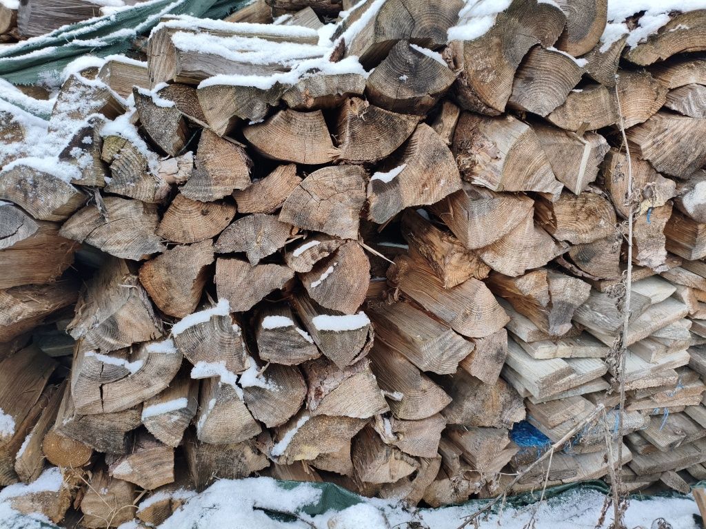 Drewno opałowe sosnowe