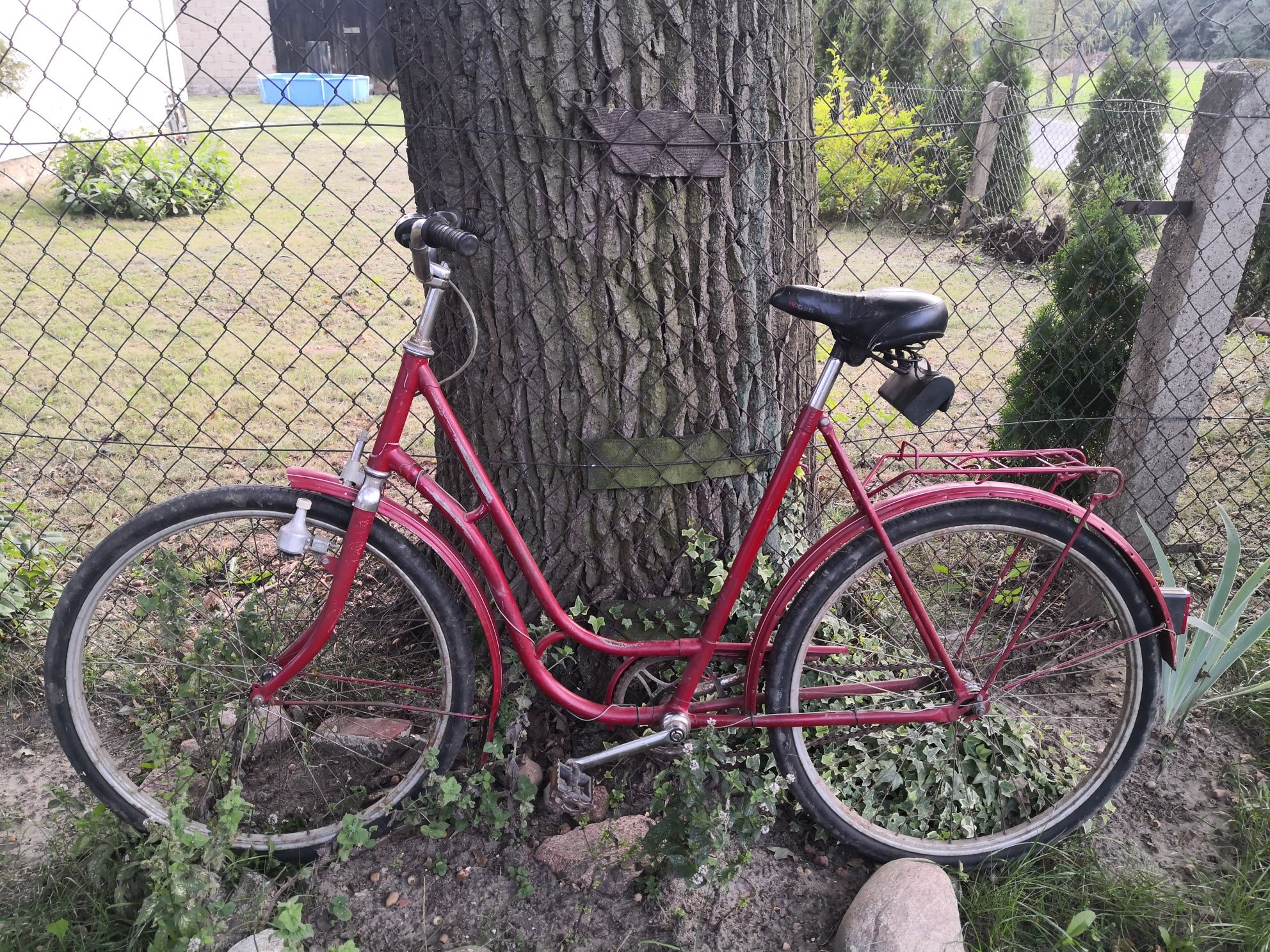 Stary rower, damka  zabytkowy