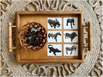 Animais da Selva - Montessori