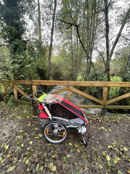 Chariot Tule Cougar 1