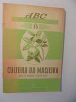 Neto (João de Almeida);Cultura do Macieira