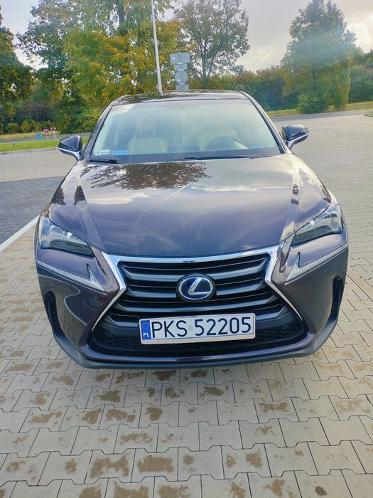 Lexus NX 300h Comfort AWD