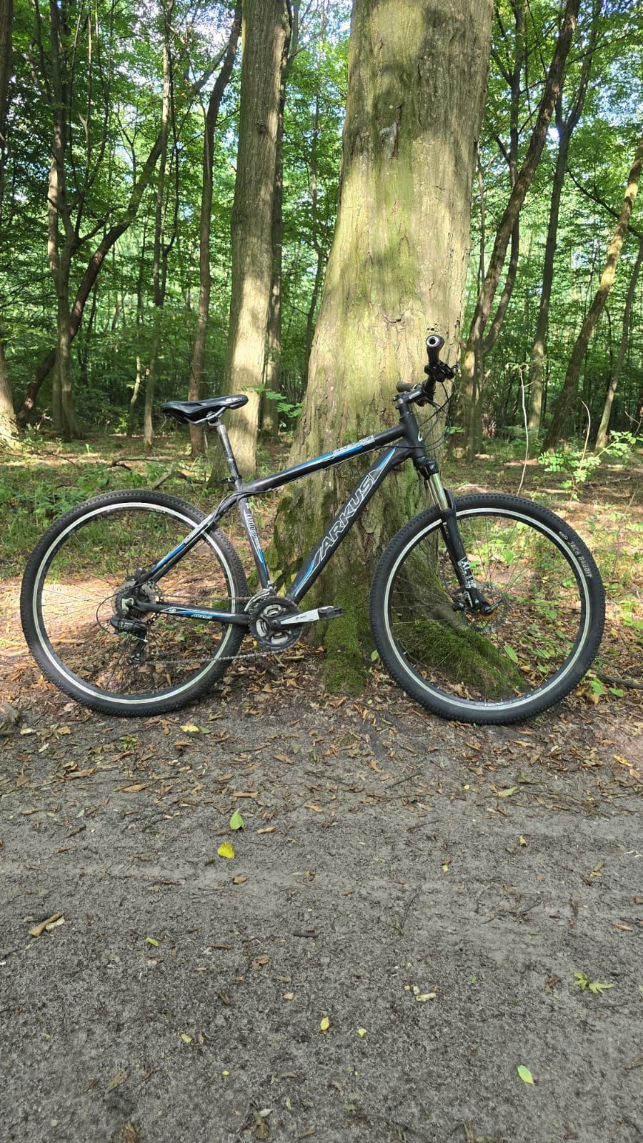 Arkus Beryl 290 rower górski MTB