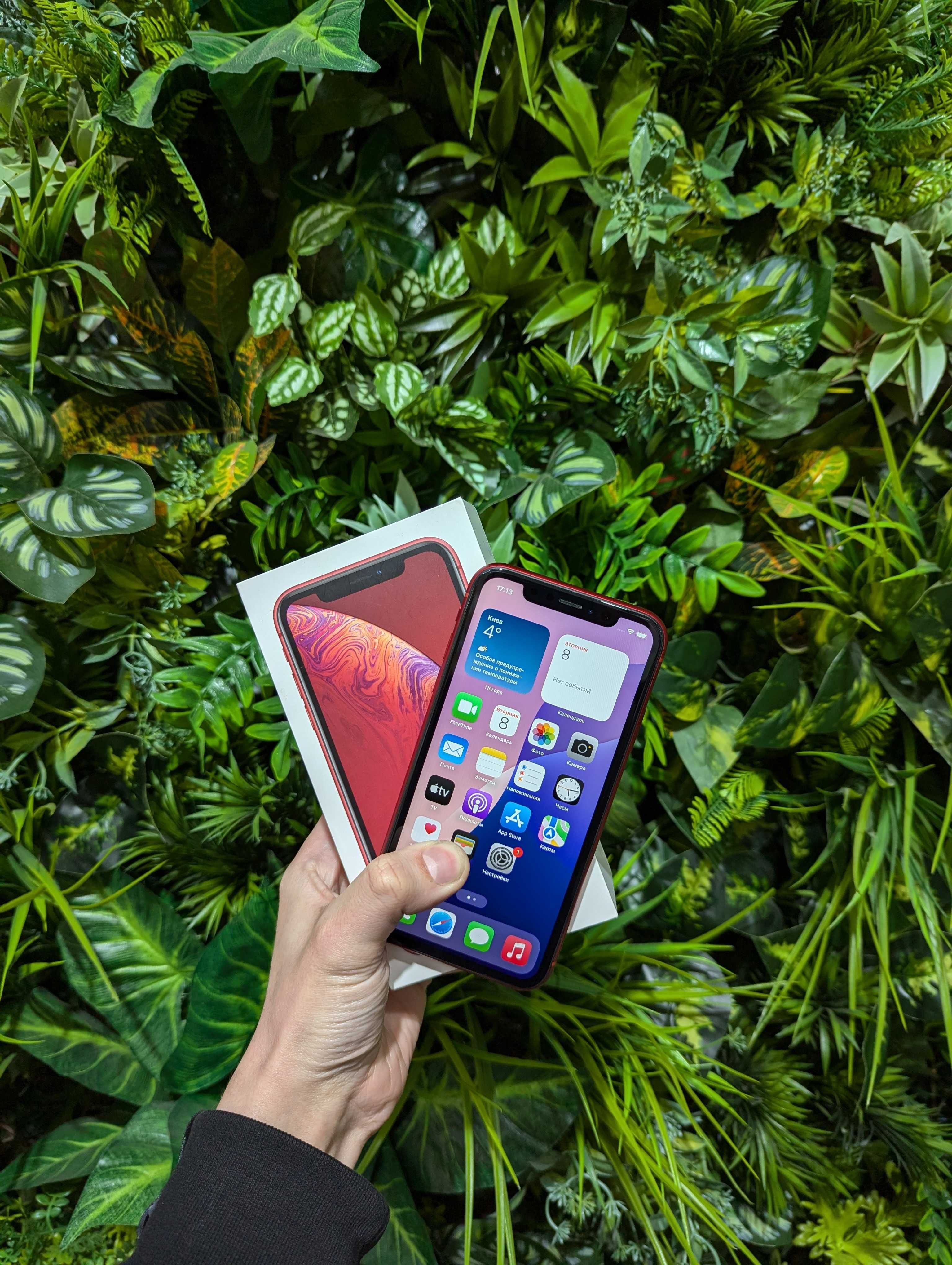 Магазин:Yablunka- Iphone XR 81%/64Gb