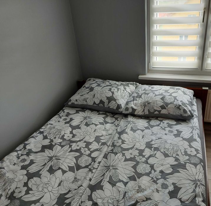 Apartament Edyta-