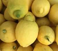 Limões de casca grossa