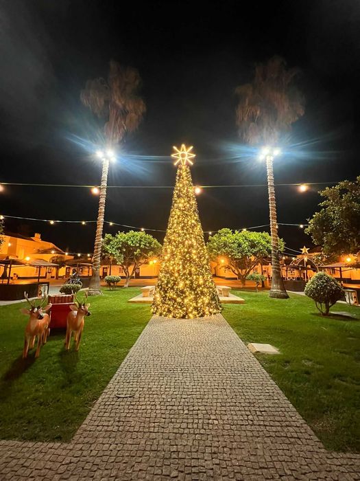 Aluguer de Arvore de Natal