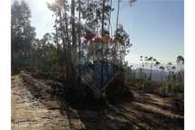 Terreno  para venda