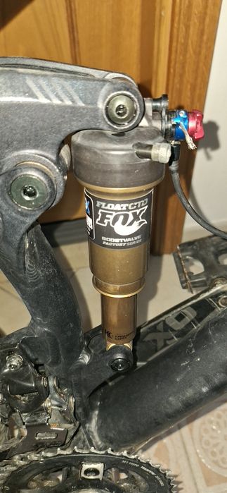 Bicicleta Canyon Nerve AL (XL)