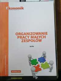 Organizowanie pracy małych zespołów