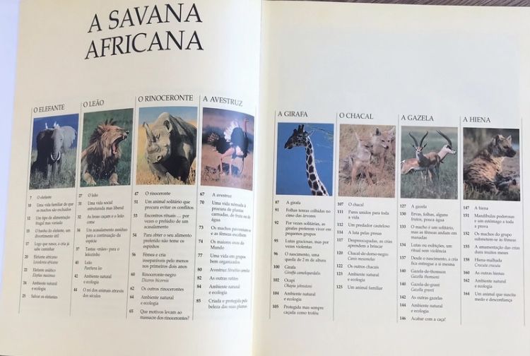 Animais da savana