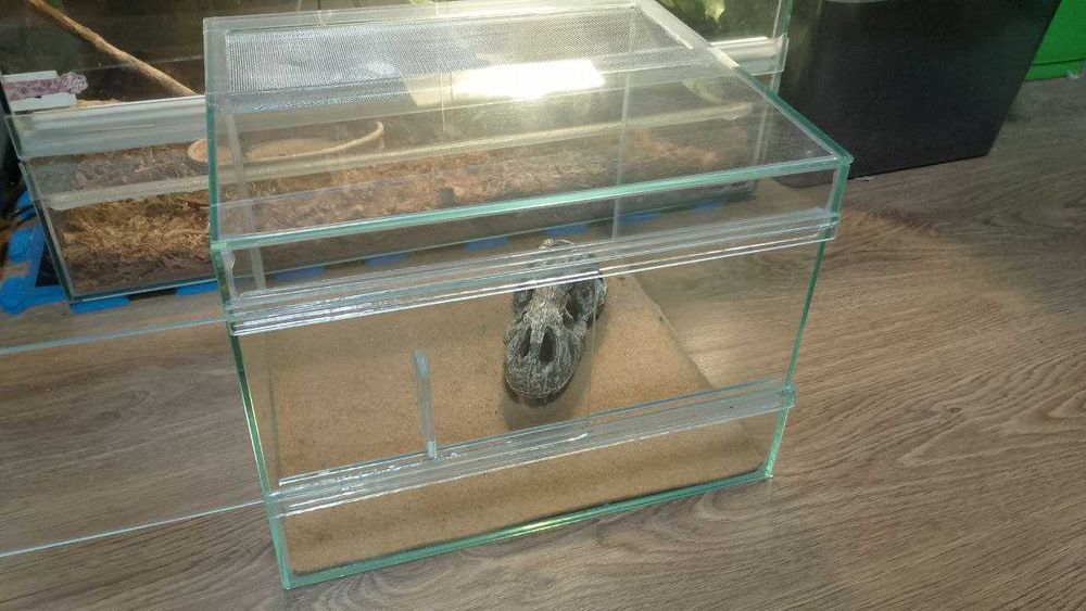 Терраріум 30х28х23
