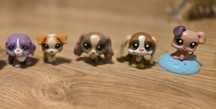 Oryginalne Pieski littles pet shop lps