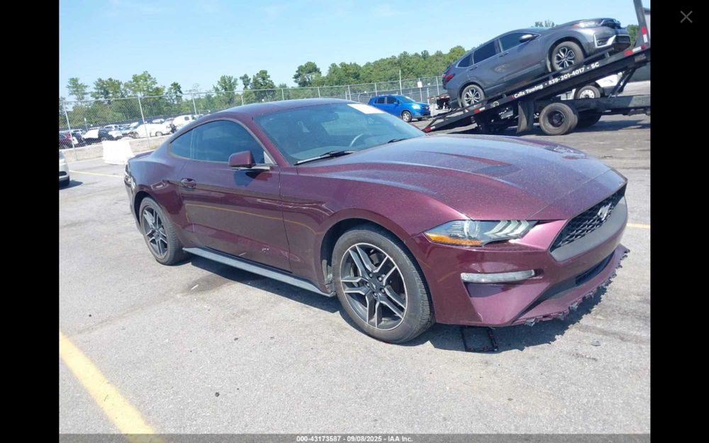 Ford Mustang 2.3 EcoBoost 289KM - w drodze do Polski