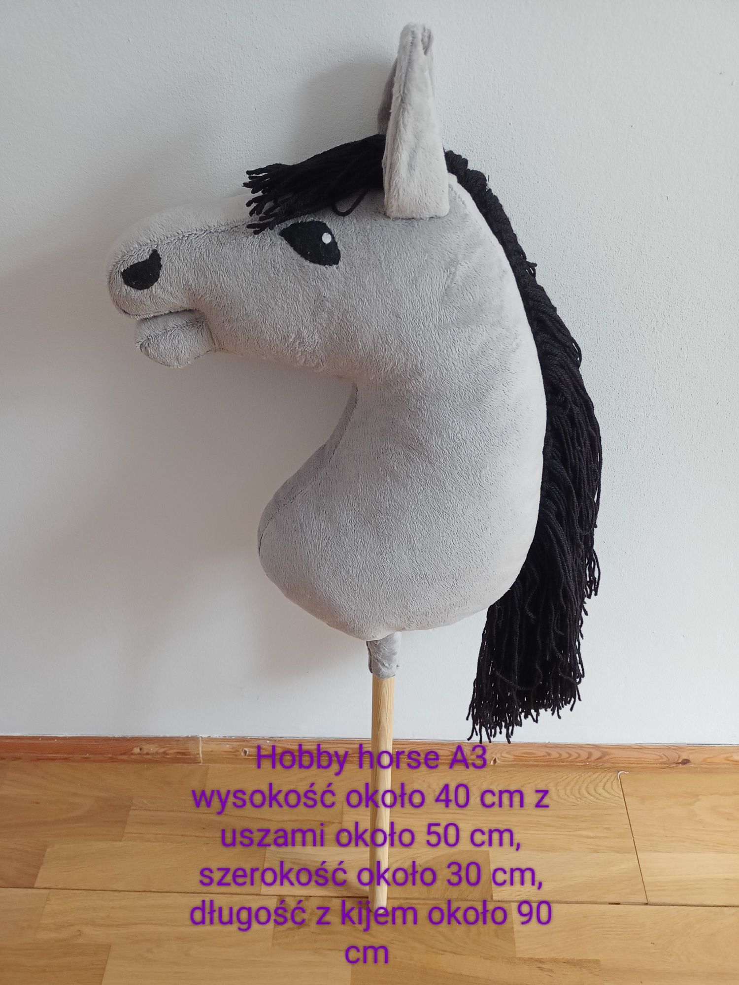 Hobby horse  konik A3