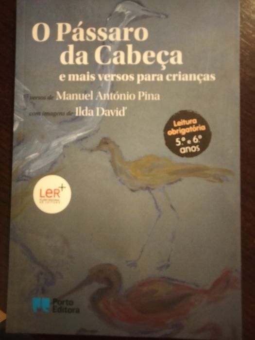O Pássaro da Cabeça