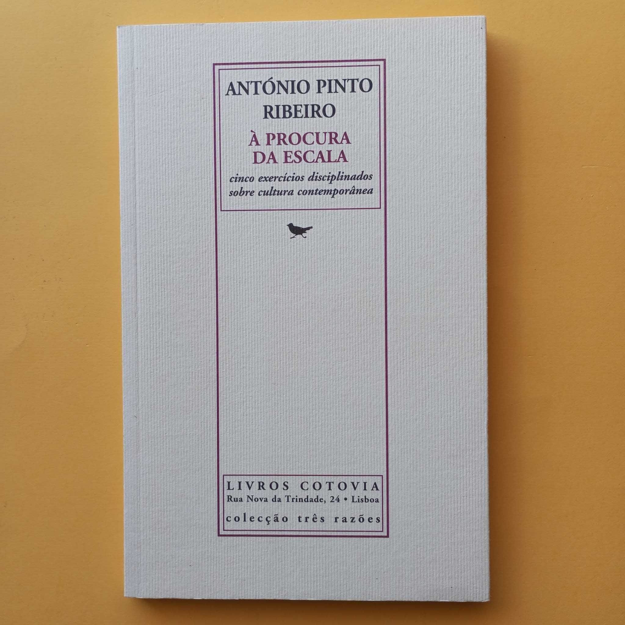 Coleção de Livros Mistos - Autores Variados - Conjunto 9
