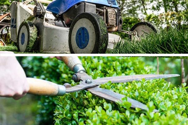 Покос травы, бурьяна. Стрижка газона.