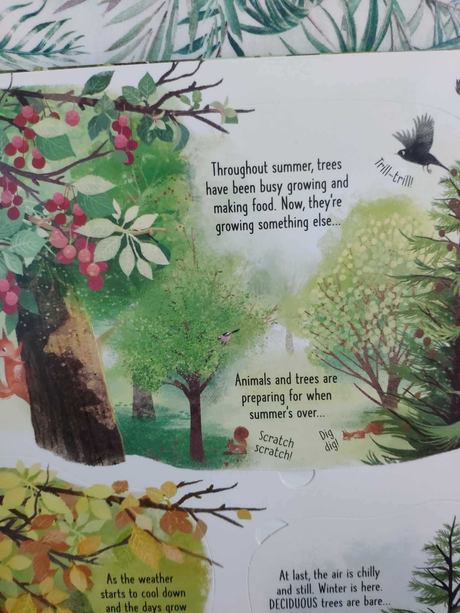 Usborne Trees książka z okienkami