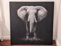 Quadro decorativo de elefante