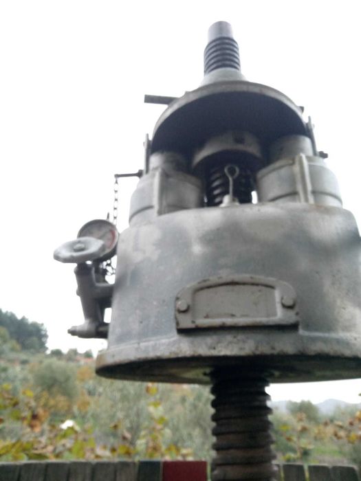 Prensa hidráulica para vinho