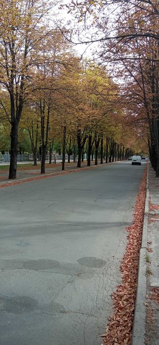 Продаю квартиру однокімнатну.