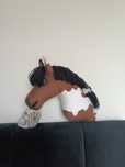 Hobby horse finland ERV