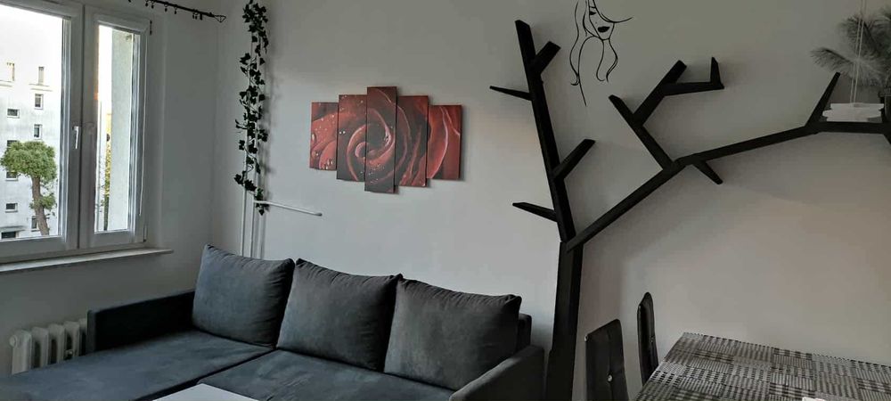 Mieszkanie po remoncie 2 pokojowe do wynajęcia