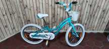 Велосипед для дівчинки Trek Mystic 20 cube grand bulls