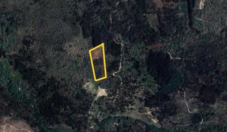Terreno rústico com 6985 m2 para exploração.