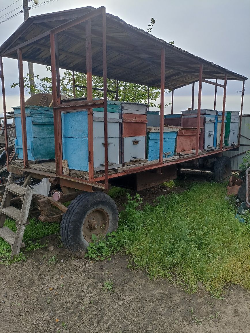 Прицеп павильон с пасекой