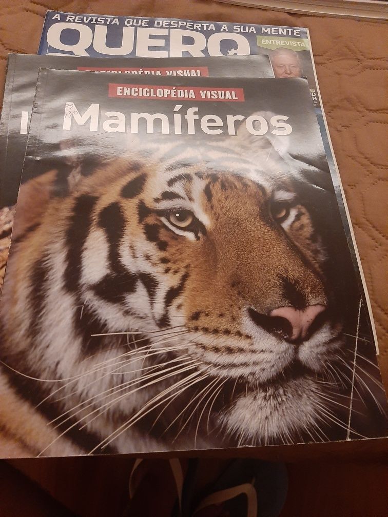 Enciclopedia mamiferos